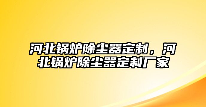 河北鍋爐除塵器定制，河北鍋爐除塵器定制廠家