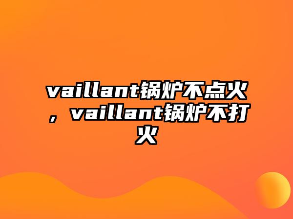 vaillant鍋爐不點火，vaillant鍋爐不打火