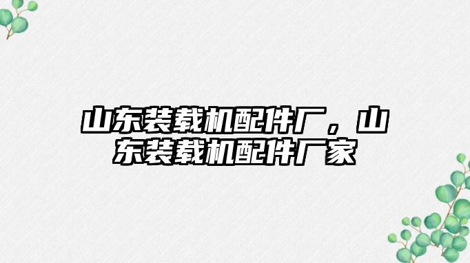 山東裝載機配件廠，山東裝載機配件廠家