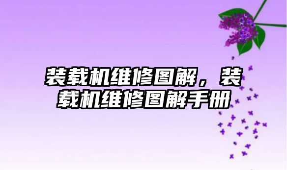 裝載機維修圖解，裝載機維修圖解手冊