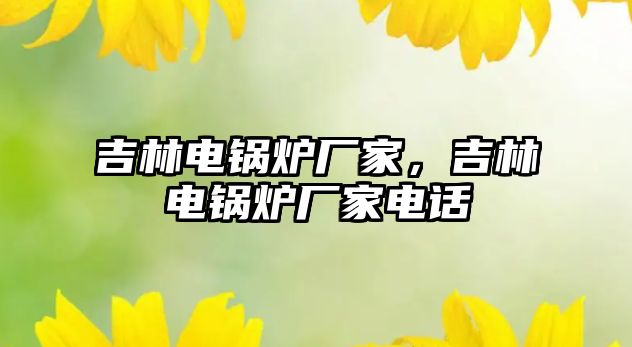 吉林電鍋爐廠家，吉林電鍋爐廠家電話