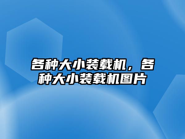 各種大小裝載機，各種大小裝載機圖片