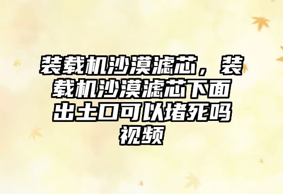 裝載機沙漠濾芯，裝載機沙漠濾芯下面出土口可以堵死嗎視頻