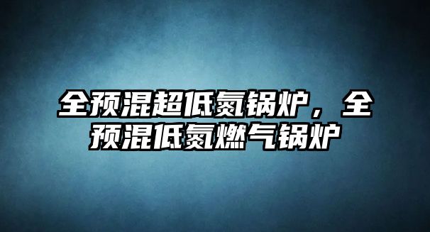 全預混超低氮鍋爐，全預混低氮燃氣鍋爐