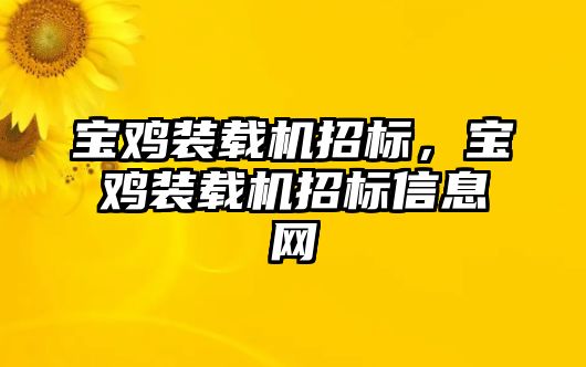 寶雞裝載機招標，寶雞裝載機招標信息網