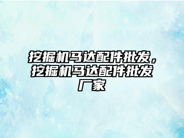 挖掘機馬達配件批發，挖掘機馬達配件批發廠家