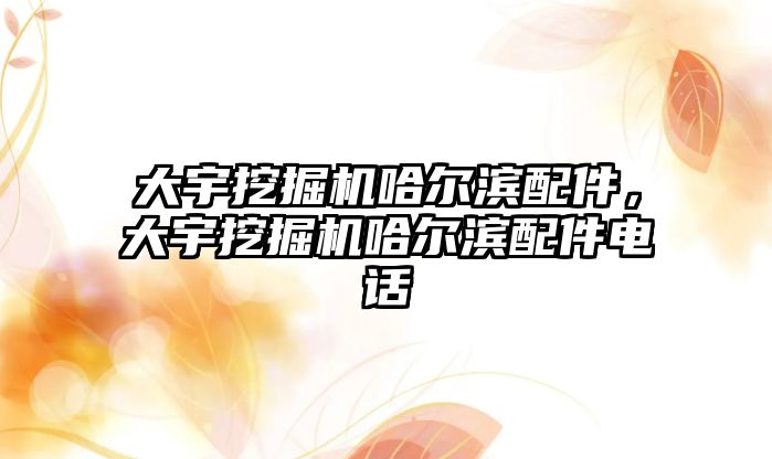 大宇挖掘機哈爾濱配件，大宇挖掘機哈爾濱配件電話