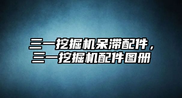 三一挖掘機(jī)呆滯配件，三一挖掘機(jī)配件圖冊(cè)