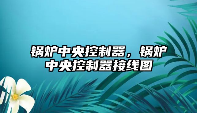 鍋爐中央控制器，鍋爐中央控制器接線圖