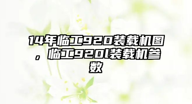 14年臨工920裝載機圖，臨工920l裝載機參數