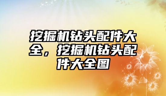 挖掘機鉆頭配件大全，挖掘機鉆頭配件大全圖