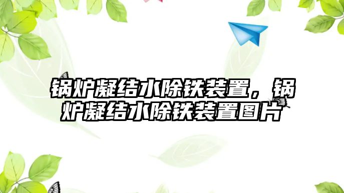 鍋爐凝結水除鐵裝置，鍋爐凝結水除鐵裝置圖片