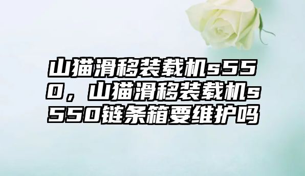 山貓滑移裝載機s550，山貓滑移裝載機s550鏈條箱要維護嗎