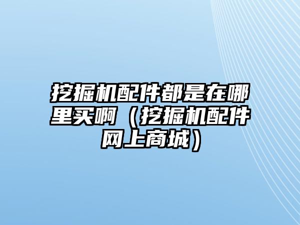 挖掘機配件都是在哪里買啊（挖掘機配件網上商城）