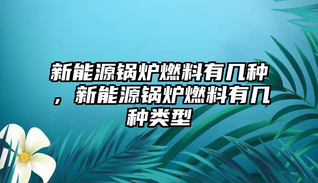 新能源鍋爐燃料有幾種，新能源鍋爐燃料有幾種類型