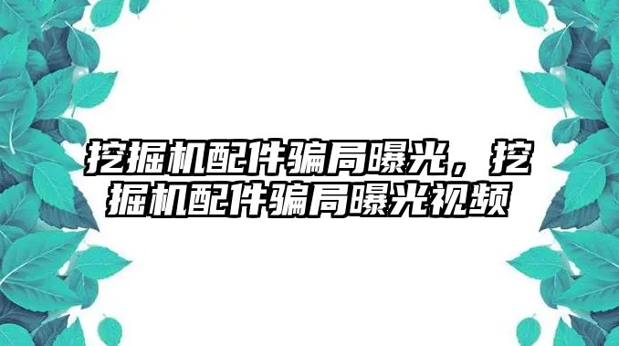 挖掘機配件騙局曝光，挖掘機配件騙局曝光視頻