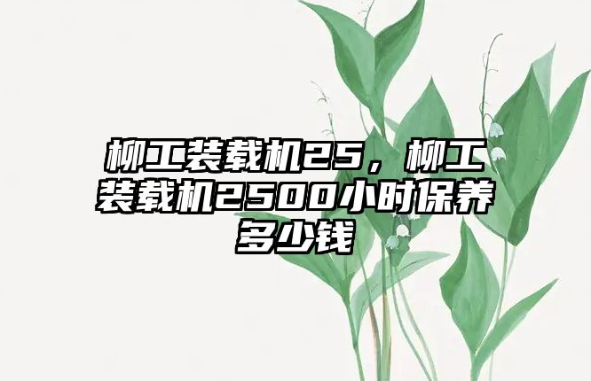 柳工裝載機25，柳工裝載機2500小時保養多少錢