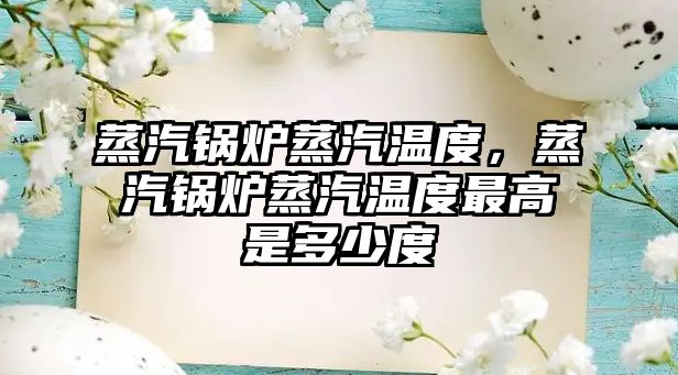 蒸汽鍋爐蒸汽溫度，蒸汽鍋爐蒸汽溫度最高是多少度