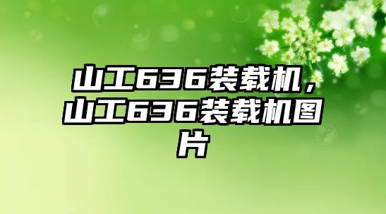 山工636裝載機，山工636裝載機圖片