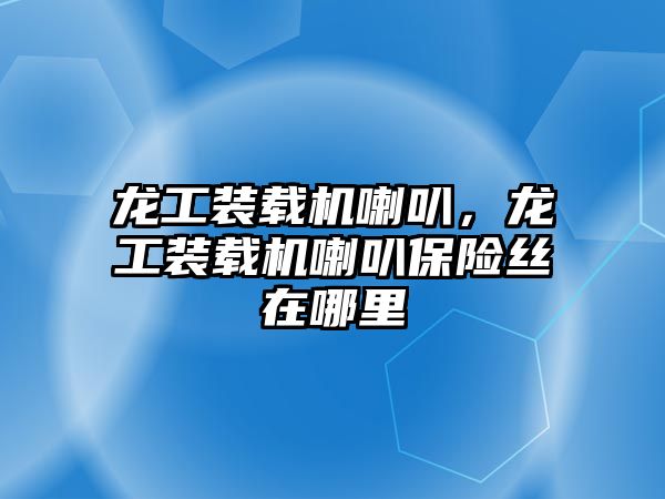 龍工裝載機(jī)喇叭，龍工裝載機(jī)喇叭保險(xiǎn)絲在哪里