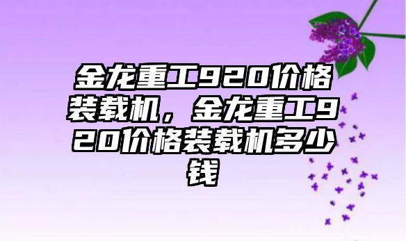 金龍重工920價格裝載機，金龍重工920價格裝載機多少錢