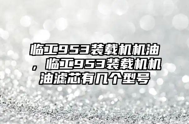 臨工953裝載機機油，臨工953裝載機機油濾芯有幾個型號