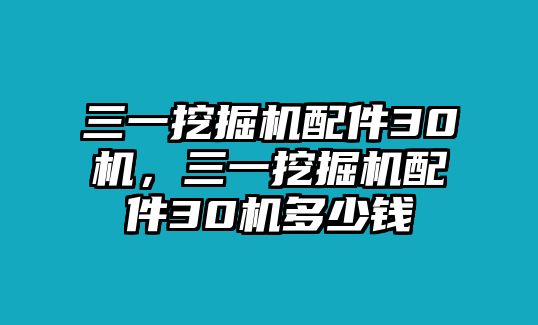 三一挖掘機(jī)配件30機(jī)，三一挖掘機(jī)配件30機(jī)多少錢(qián)