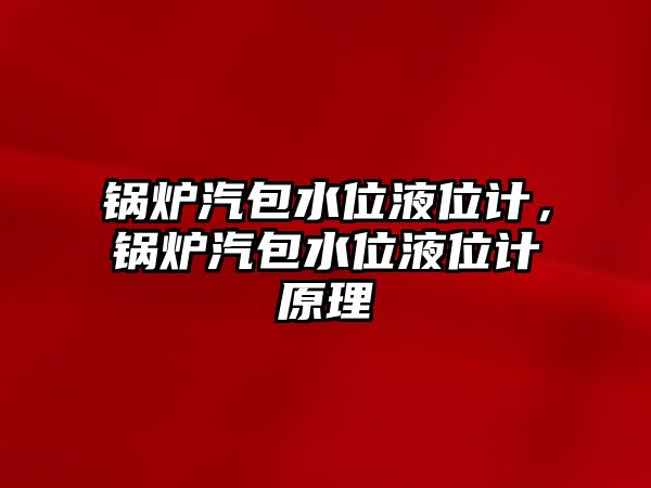 鍋爐汽包水位液位計，鍋爐汽包水位液位計原理