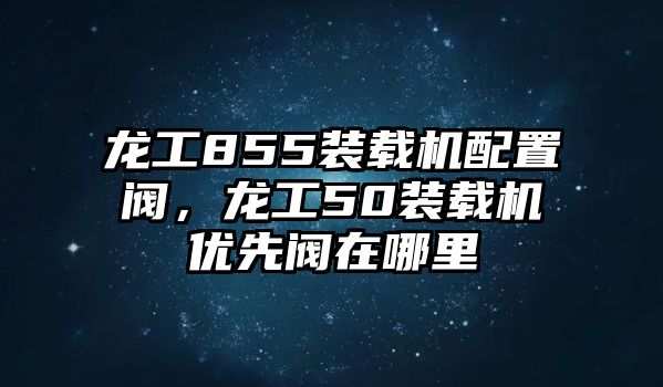 龍工855裝載機配置閥，龍工50裝載機優先閥在哪里