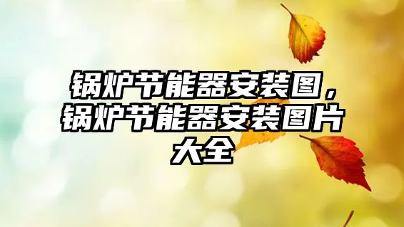 鍋爐節(jié)能器安裝圖，鍋爐節(jié)能器安裝圖片大全