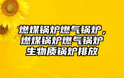 燃煤鍋爐燃氣鍋爐，燃煤鍋爐燃氣鍋爐生物質鍋爐排放