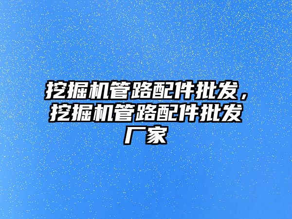 挖掘機管路配件批發，挖掘機管路配件批發廠家