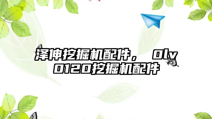 澤伸挖掘機配件，ⅴ0lv0120挖掘機配件