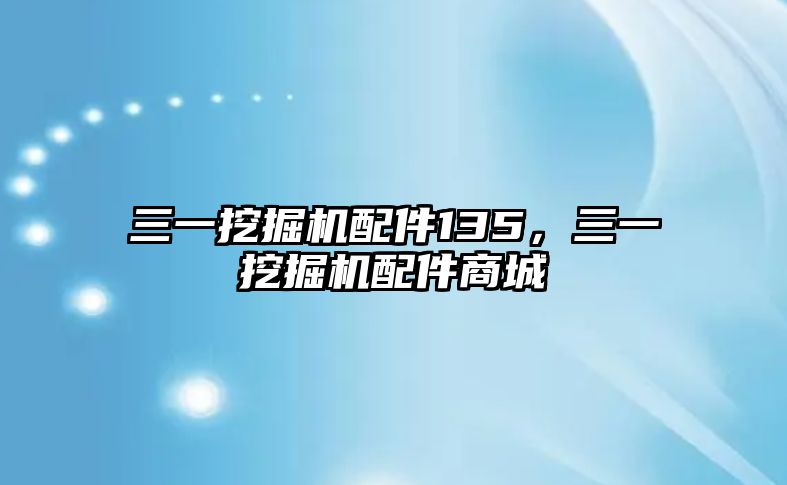 三一挖掘機配件135，三一挖掘機配件商城