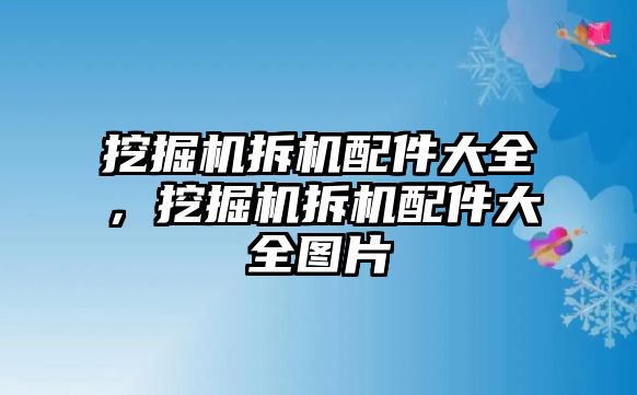 挖掘機拆機配件大全，挖掘機拆機配件大全圖片