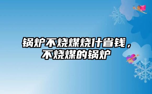 鍋爐不燒煤燒什省錢，不燒煤的鍋爐