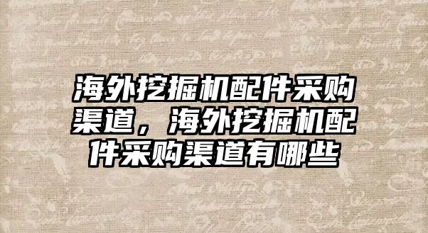 海外挖掘機配件采購渠道，海外挖掘機配件采購渠道有哪些