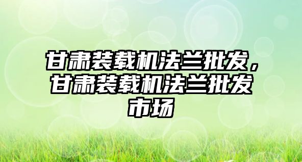 甘肅裝載機法蘭批發，甘肅裝載機法蘭批發市場