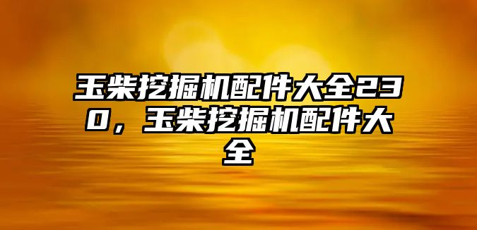 玉柴挖掘機(jī)配件大全230，玉柴挖掘機(jī)配件大全