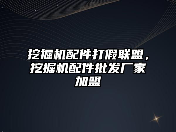 挖掘機配件打假聯盟，挖掘機配件批發廠家加盟