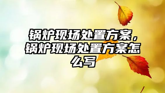 鍋爐現場處置方案，鍋爐現場處置方案怎么寫