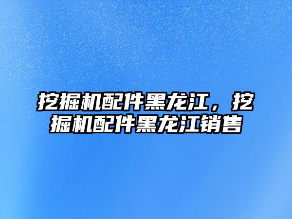 挖掘機配件黑龍江，挖掘機配件黑龍江銷售