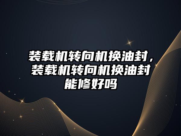 裝載機轉向機換油封，裝載機轉向機換油封能修好嗎