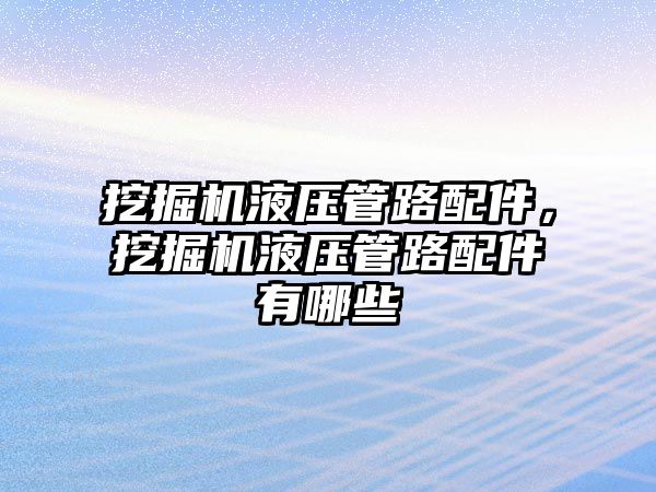 挖掘機液壓管路配件，挖掘機液壓管路配件有哪些