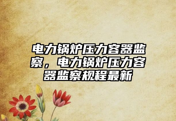 電力鍋爐壓力容器監察，電力鍋爐壓力容器監察規程最新