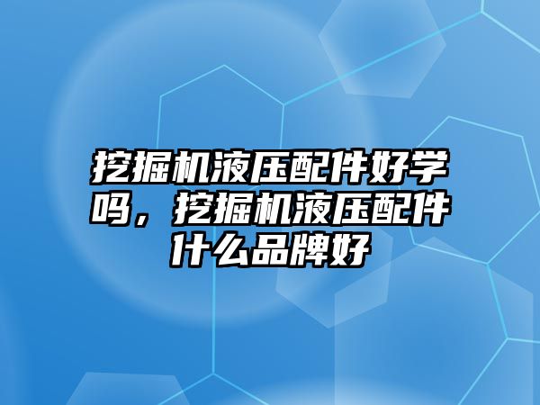 挖掘機液壓配件好學嗎，挖掘機液壓配件什么品牌好