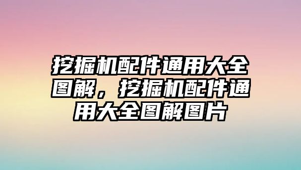 挖掘機配件通用大全圖解，挖掘機配件通用大全圖解圖片