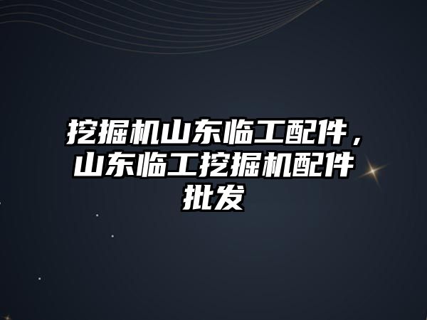 挖掘機山東臨工配件，山東臨工挖掘機配件批發