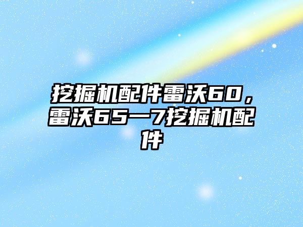 挖掘機(jī)配件雷沃60，雷沃65一7挖掘機(jī)配件