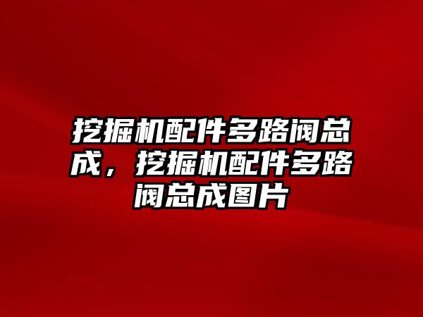 挖掘機(jī)配件多路閥總成，挖掘機(jī)配件多路閥總成圖片